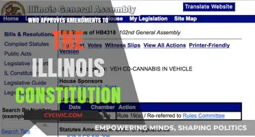 Illinois Constitution Amendments: Who Has the Final Say?