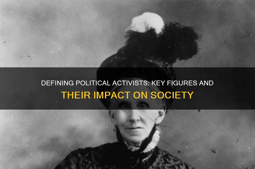 who are considered political activists