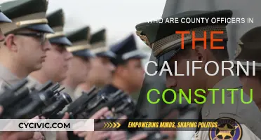 California's County Officers: Understanding Their Roles and Responsibilities
