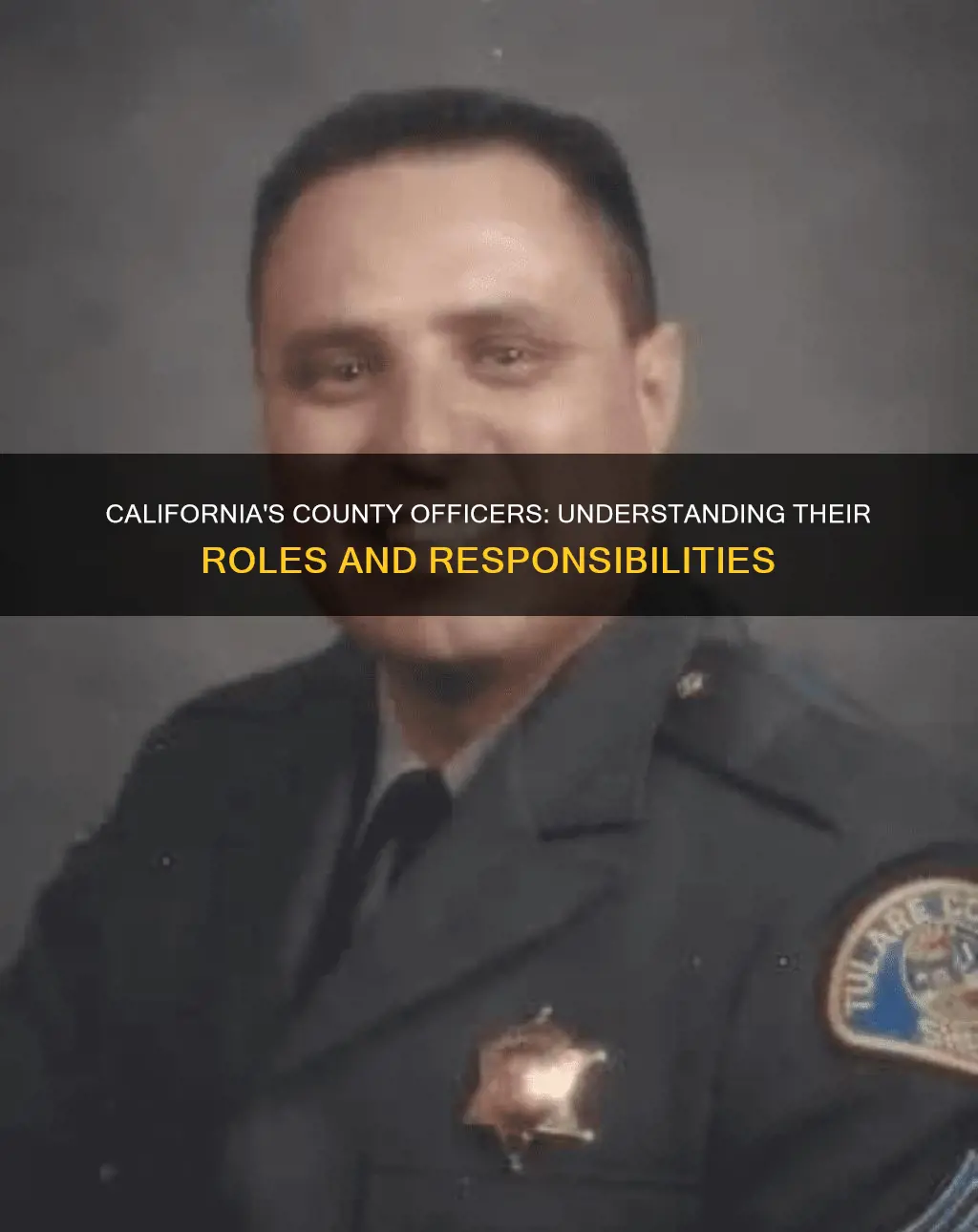 who are county officers in the california constitution