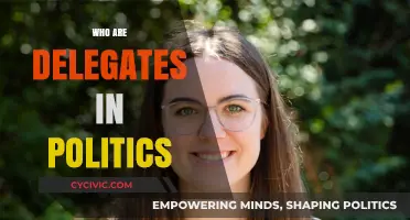 Understanding Political Delegates: Their Role, Influence, and Importance in Elections