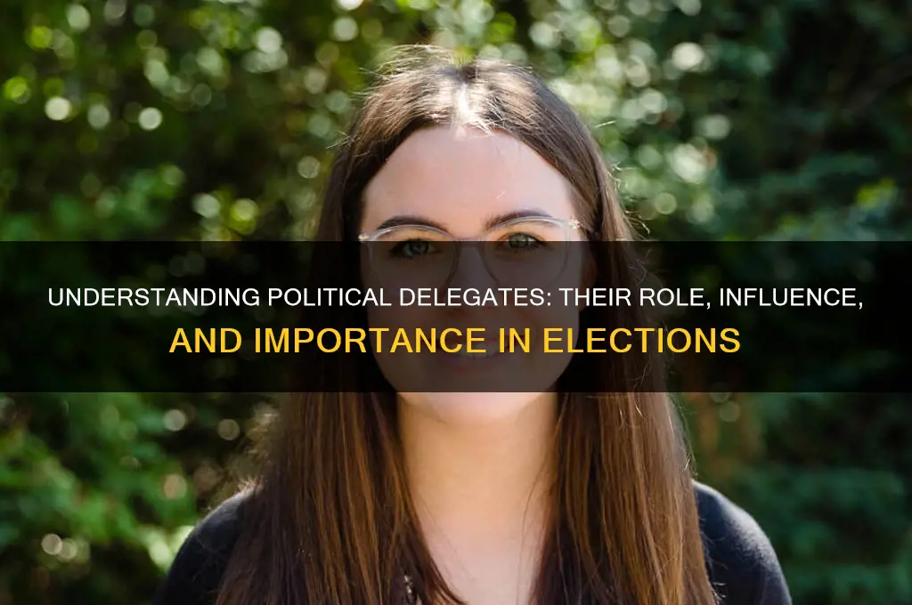who are delegates in politics