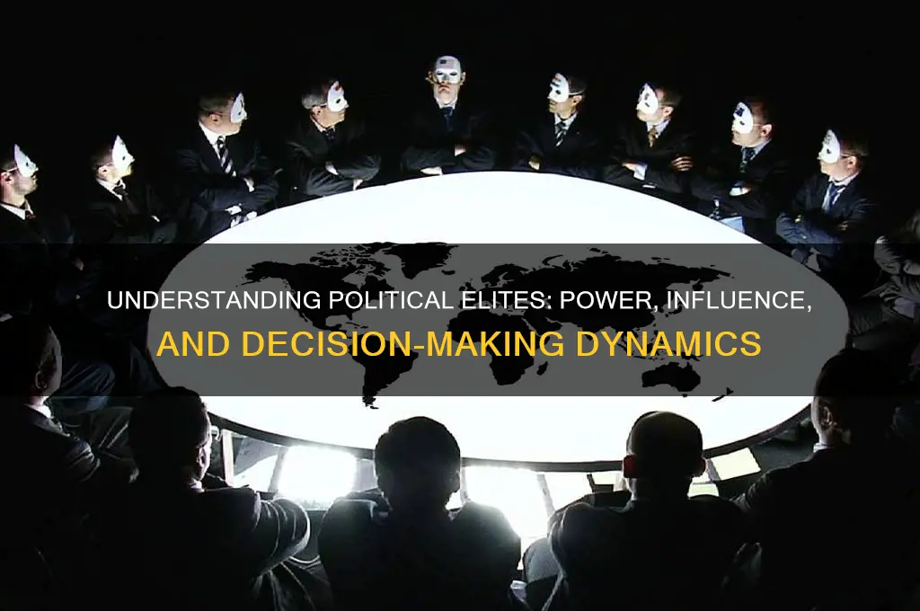 who are elites in politics