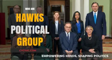 Understanding the Hawks: A Deep Dive into Their Political Ideology