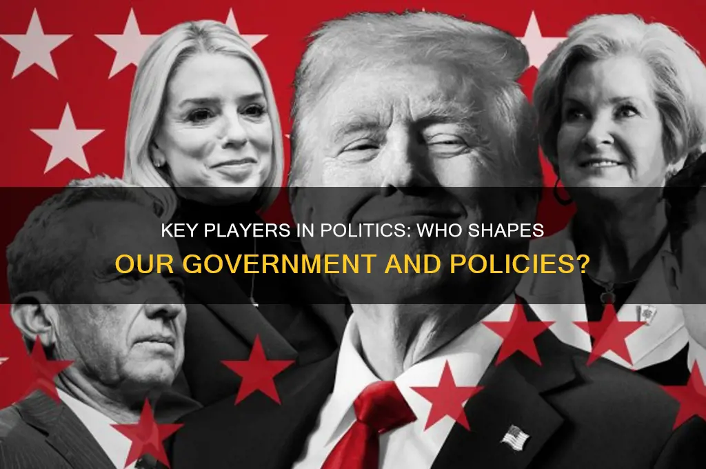 who are involved in politics