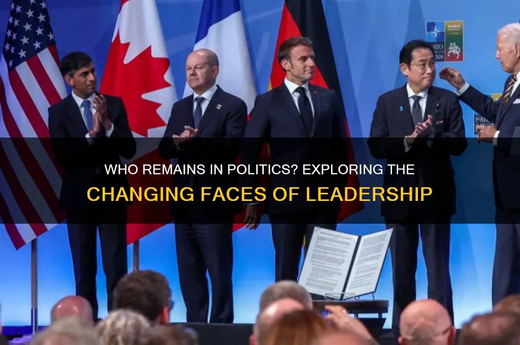 who are left in politics