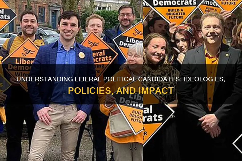 who are liberal political candidates