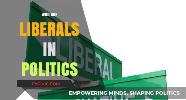 Understanding Liberals: Core Beliefs, Policies, and Political Impact Explained