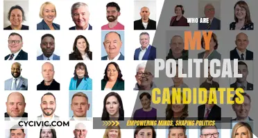 Discover Your Political Candidates: A Voter's Guide to Local Elections