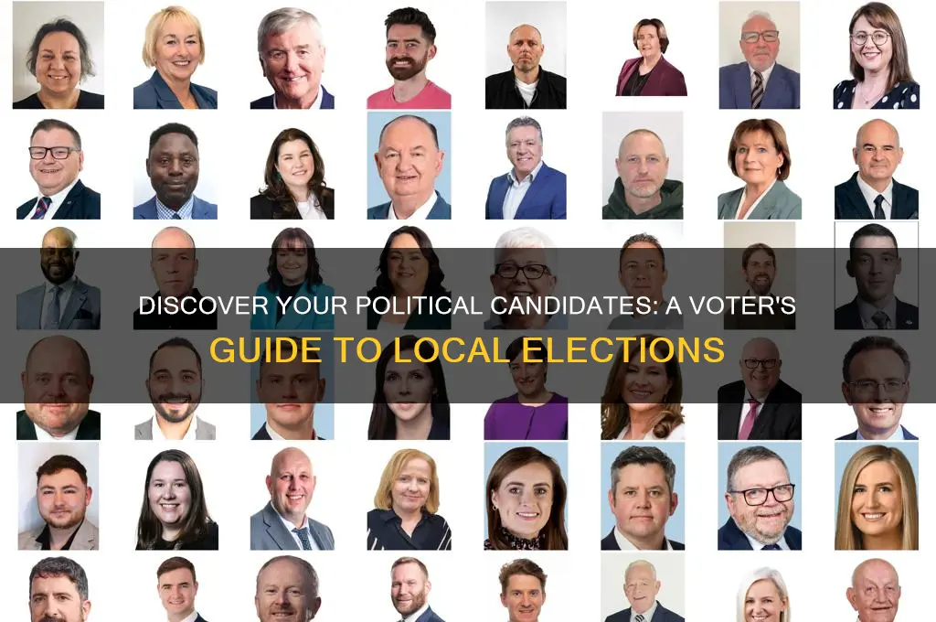 who are my political candidates