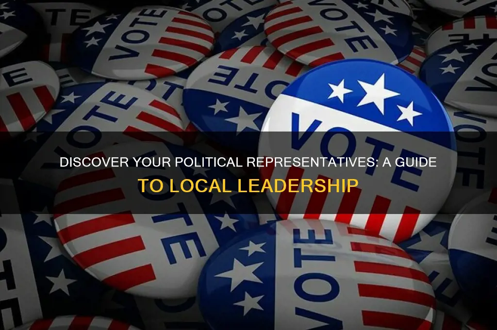 who are my political representatives