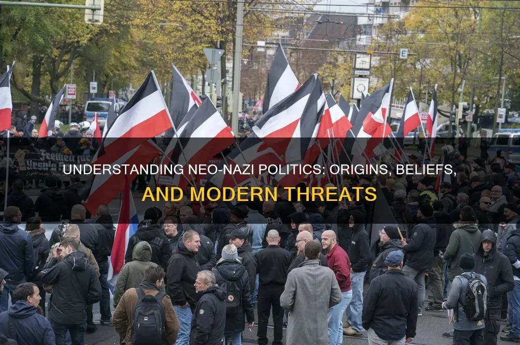 who are neo nazi politics