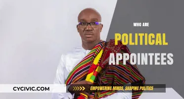 Understanding Political Appointees: Roles, Influence, and Impact on Governance