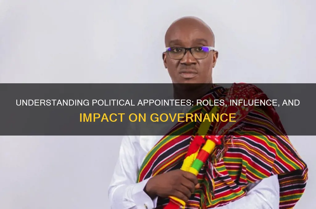 who are political appointees