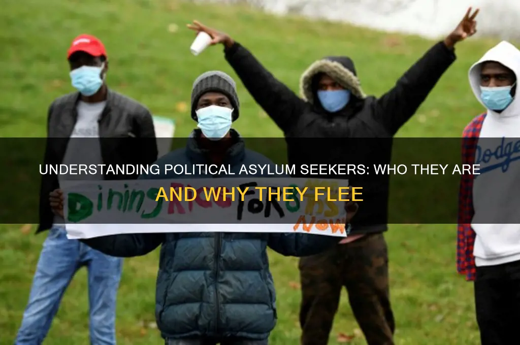 who are political asylum seekers