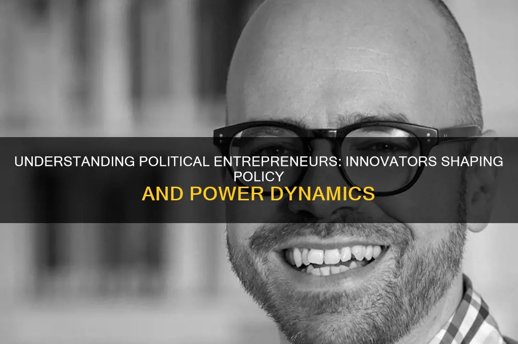 who are political entrepreneurs
