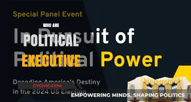 Understanding the Role and Power of the Political Executive