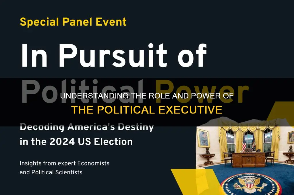 who are political executive