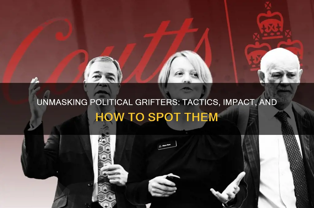 who are political grifiters