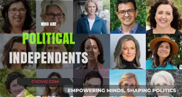 Understanding Political Independents: Who They Are and What They Believe