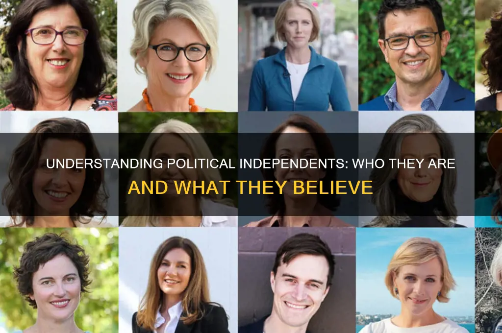 who are political independents