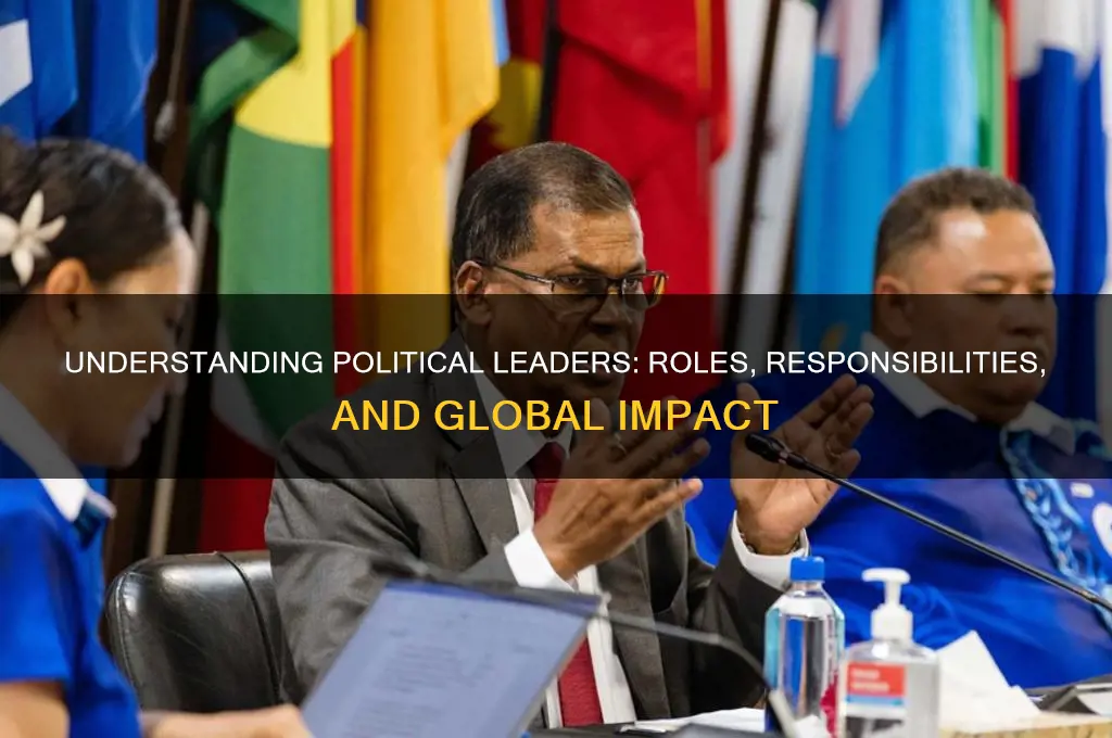 who are political leaders