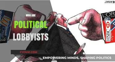 Understanding Political Lobbyists: Their Role, Influence, and Impact on Policy