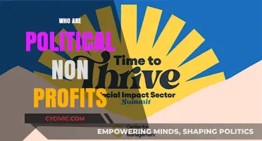 Understanding Political Nonprofits: Their Role, Impact, and Influence in Society