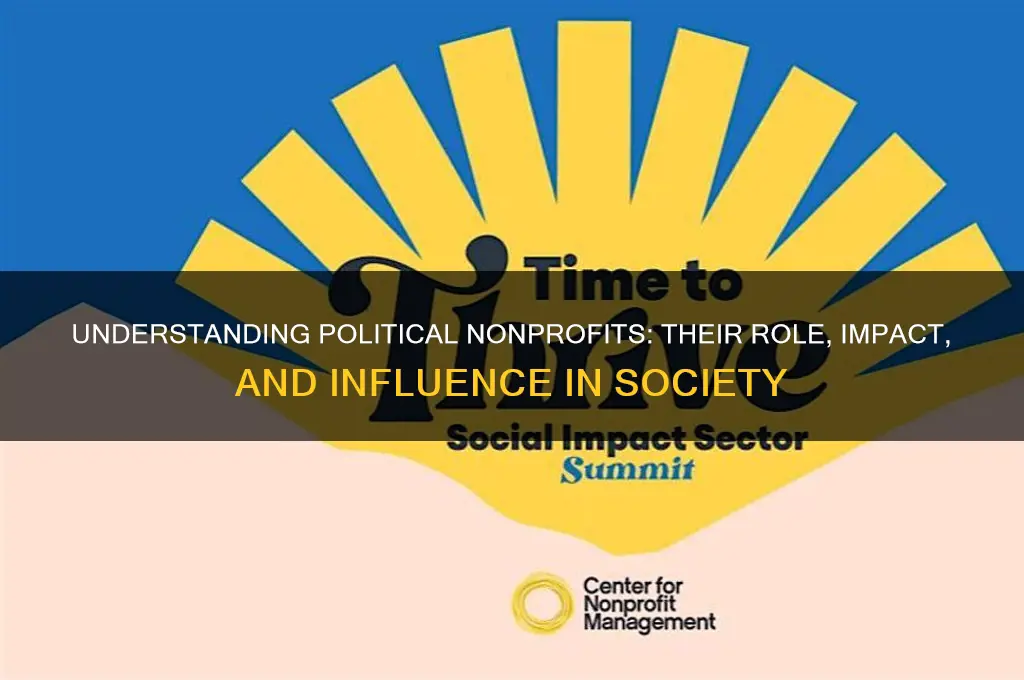 who are political non profits