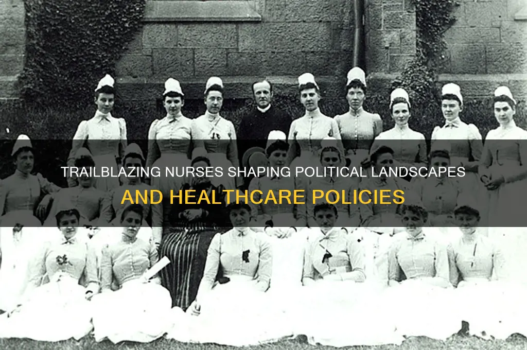 who are political nursing pioneers