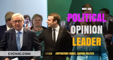 Understanding Political Opinion Leaders: Their Role and Influence in Shaping Public Views