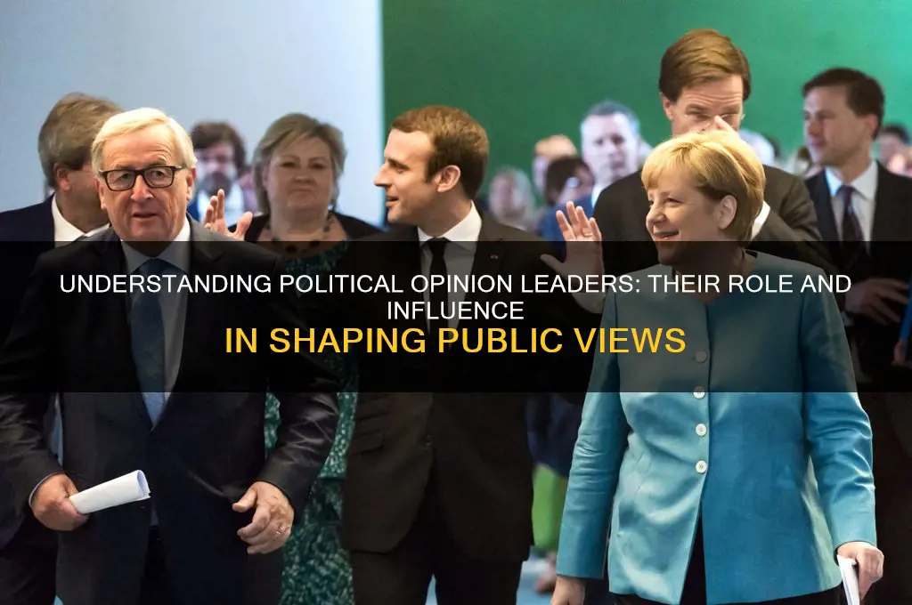 who are political opinion leader