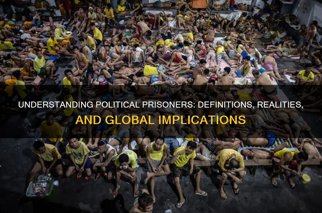 who are political prisoners
