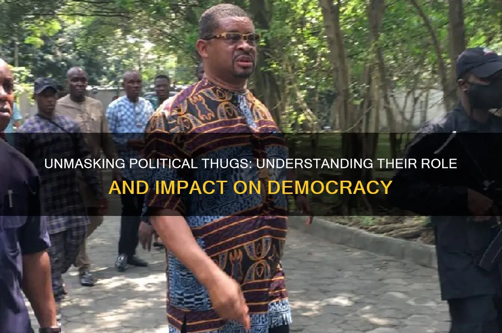 who are political thugs