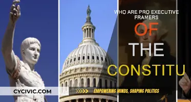 Founders' Intent: Framers' Vision for Executive Power