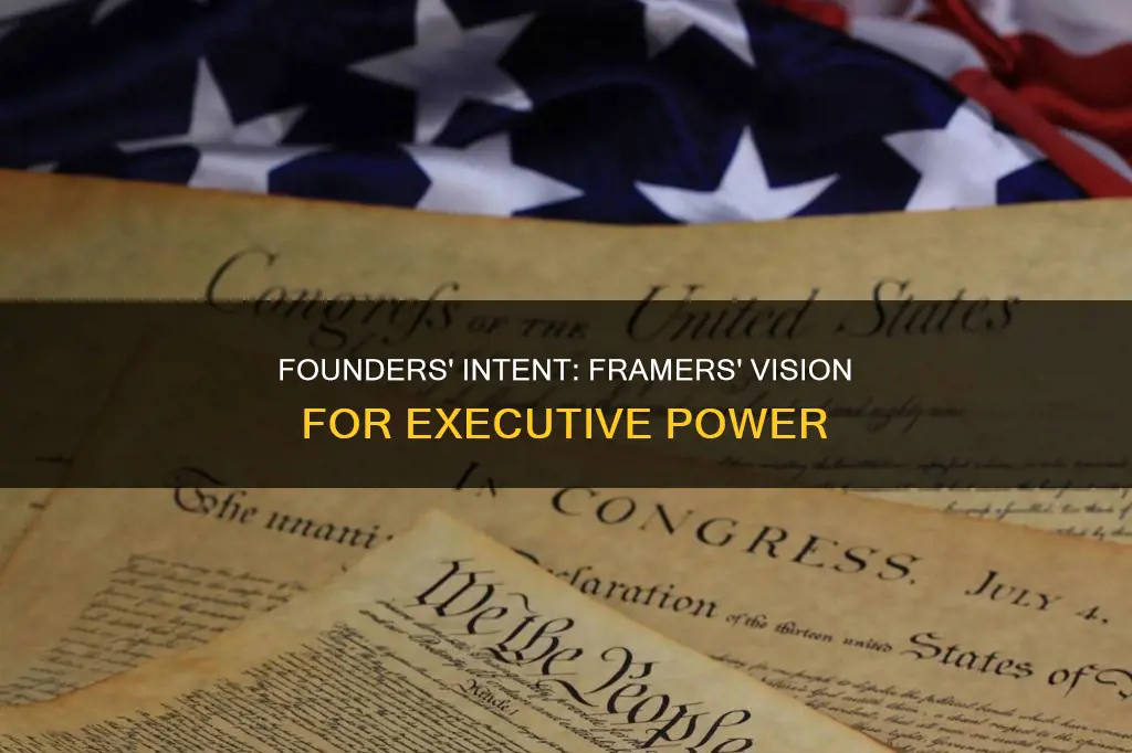 who are pro executive framers of the constitution