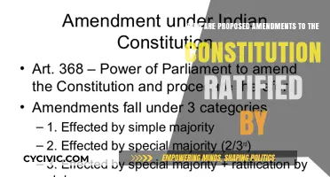 Amendments: Who Ratifies Changes to the Constitution?