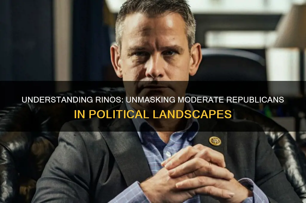 who are rinos in politics
