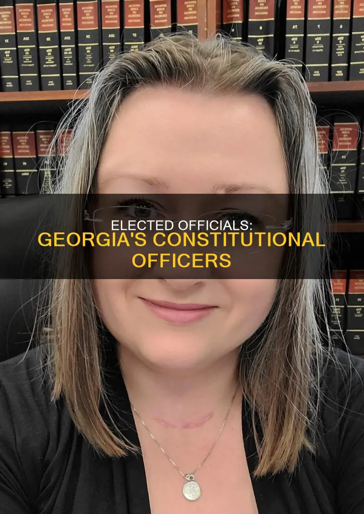 who are the 8 elected constitutional officers in georgia
