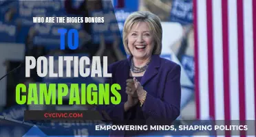 Big Money in Politics: Who Donates the Most?