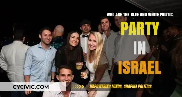 Understanding Israel's Blue and White Party: Leadership, Policies, and Impact