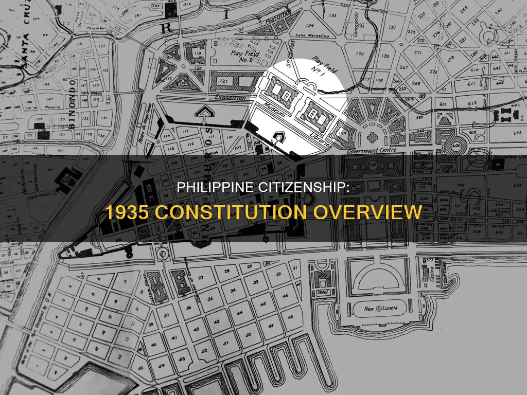 who are the citizens of the philippines under 1935 constitution