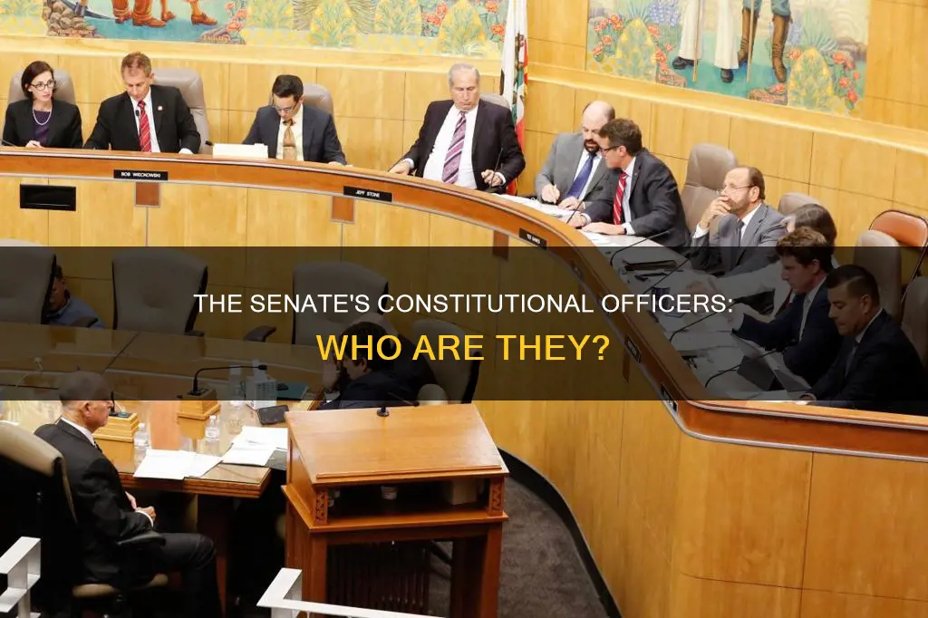 who are the constitutional officers of the senate
