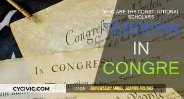 Constitutional Scholars: Testifying in Congress