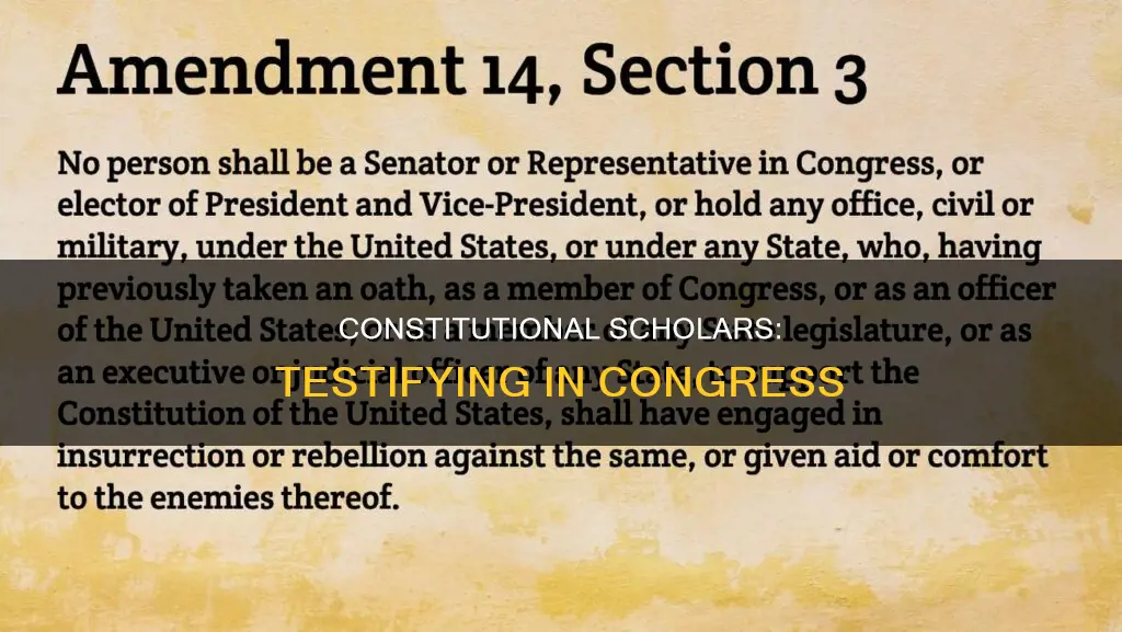 who are the constitutional scholars testifying in congress