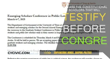 Constitutional Scholars Testifying Before Congress: Who Are They?
