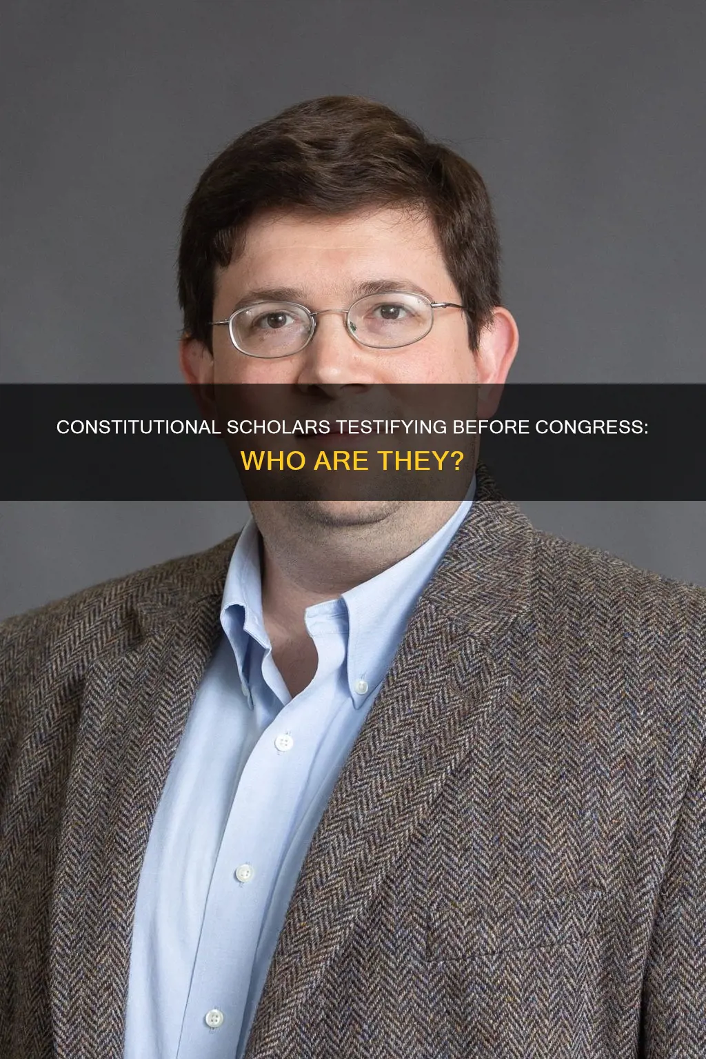 who are the constitutional scholors that will testify before congress