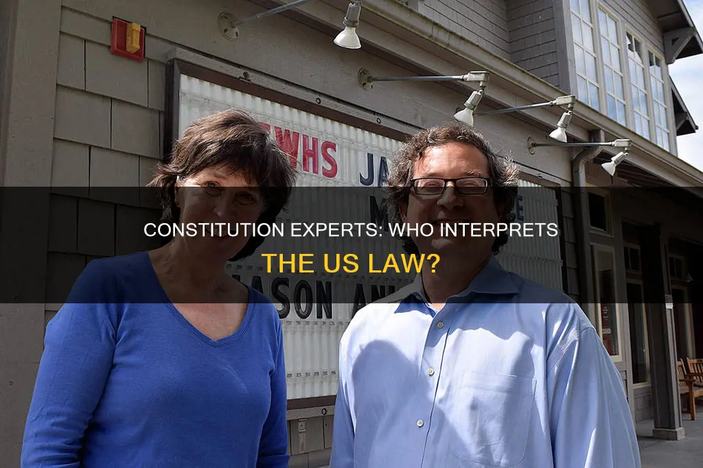 who are the experts on the us constitution