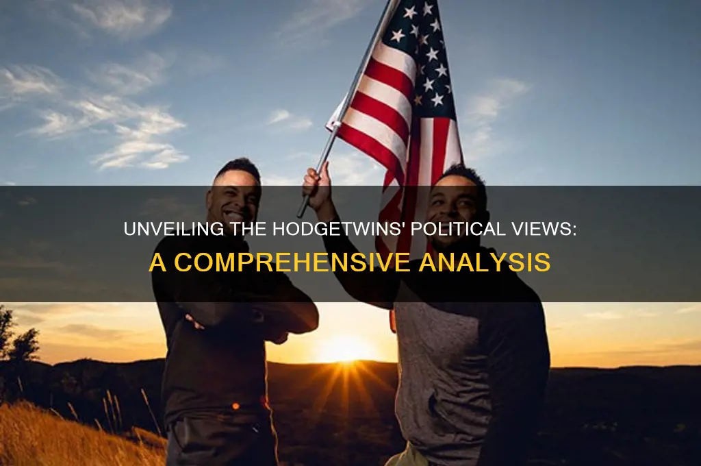 who are the hodgetwins politics