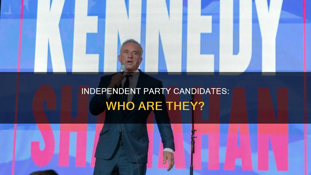 who are the independent party candidates